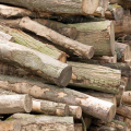 Firewood Logs