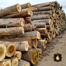 Cord of Firewood Logs - Ash